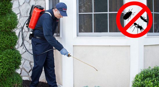Kozluk Fare İlaçlama böcek ilaçlama ve haşere kontrolü — ilaclama-tr.com